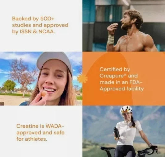 Creatine Monohydrate Gummies for Men & Women – Orange Flavor, 90 Count